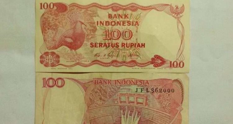 image_1758677797799_lt9tfu