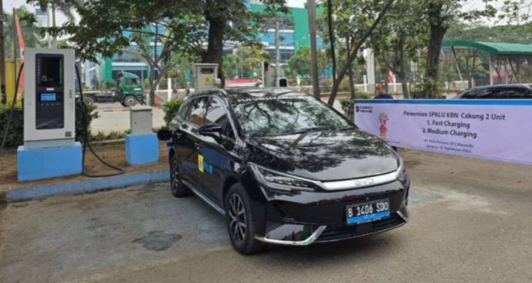 image_1759249745990_6qe9eb