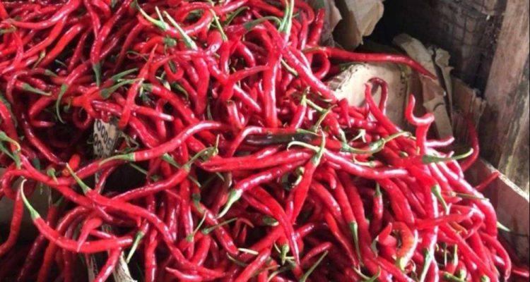 image_1759626413055_pkcdtp