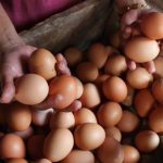 image_1760384752744_jo4s0e