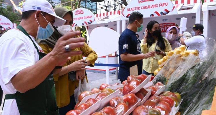 image_1760689155780_vmud3f