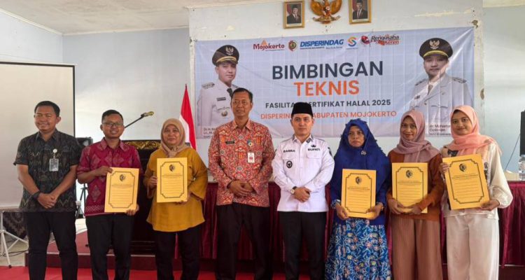 image_1760698232053_w9716e