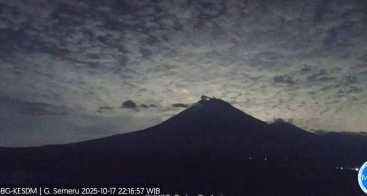 image_1760741383523_fs69t2