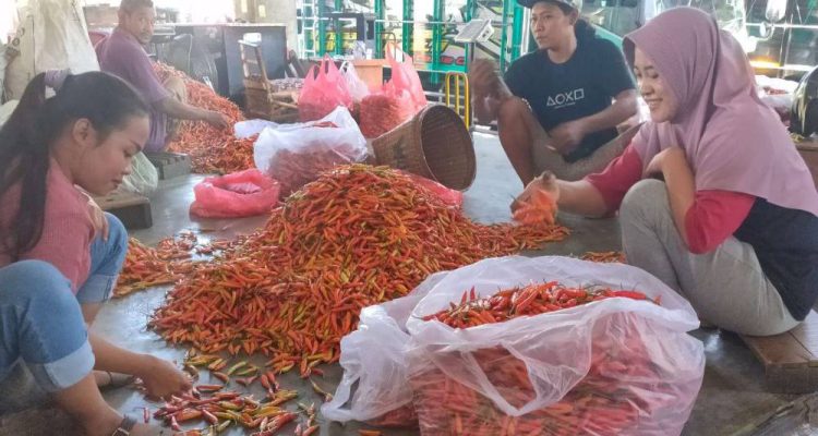 image_1761006412604_t9hauw