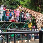 image_1761410829697_60ewl3