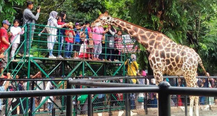 image_1761410829697_60ewl3