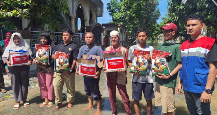 image_1764520798584_84ejp6