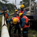 image_1766074493122_8haosr