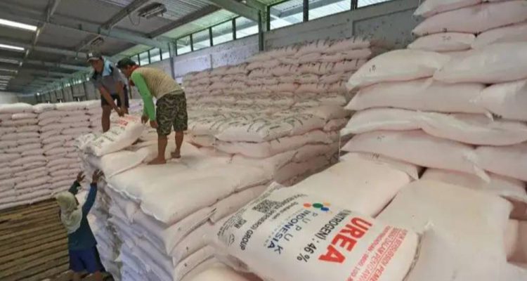 image_1769823337057_tjpj8m