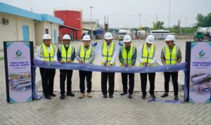 image_1770980363200_f61hll