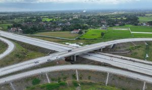 image_1771757762925_anm9mz