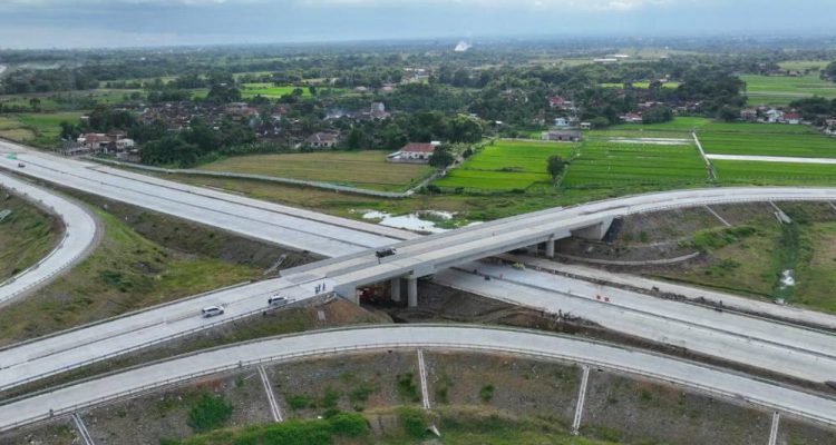 image_1771757762925_anm9mz