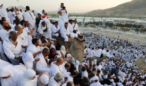 image_1772378312584_4ellal