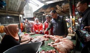 image_1772414236616_np8wxf