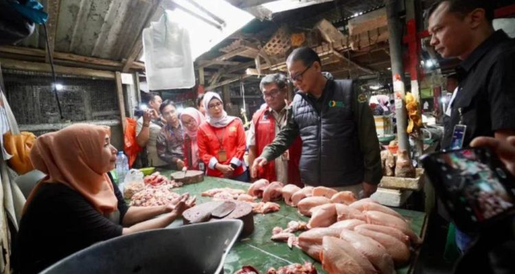 image_1772414236616_np8wxf