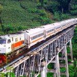 image_1772984329210_feo2gz