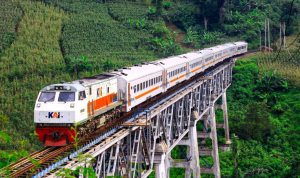 image_1772984329210_feo2gz