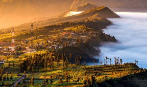 image_1774219297067_lfcutw