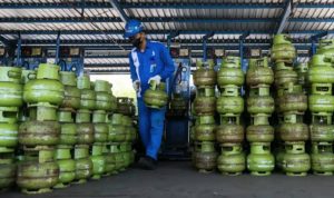 image_1774221686679_226t8q