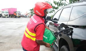 image_1775481389445_xvd4yi